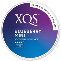 XQS XQS Blueberry Mint – nikotinpåsar