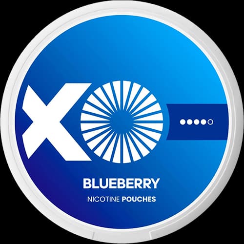 XO Blueberry - nikotinpåsar